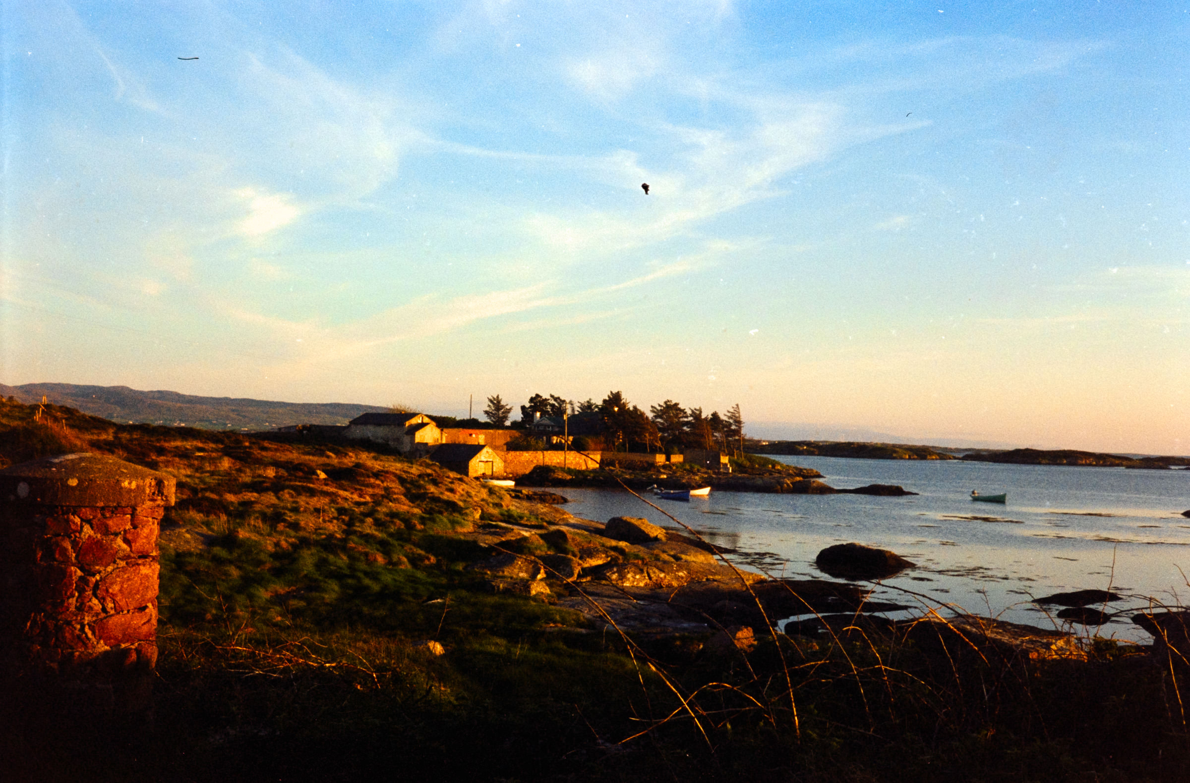 AHP F1998 05 003 sc240815 img03 NLP